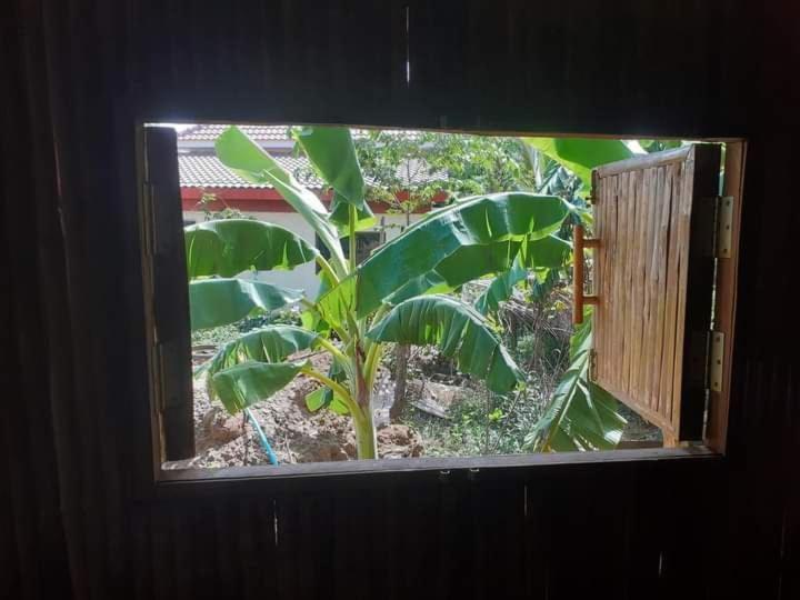 Odambang Village Homestay 马德望 外观 照片